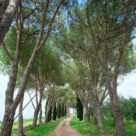 Casale Beatrice Degli Ulivi