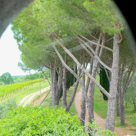 مزرعة للإقامة Casale Beatrice Degli Ulivi