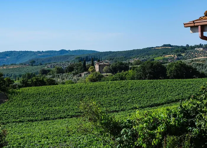 Casale Beatrice Degli Ulivi Farm stay *