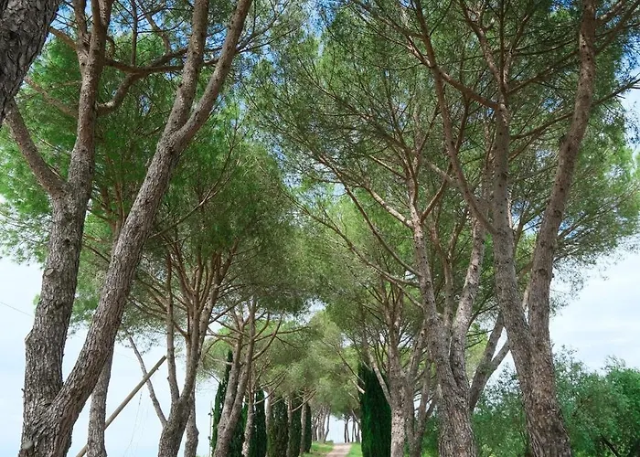 Casale Beatrice Degli Ulivi