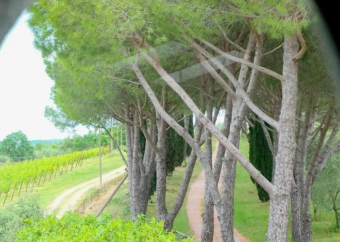 Farm stay Casale Beatrice Degli Ulivi